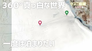 【ウユニ塩湖の塩ホテル】干上がった白の世界【海外生配信ライブ】