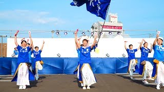 [4K]高知県青年にぎわいボニートfrom3.11　銭形よさこい2017 ステージ会場（中央）