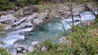 福井県大野市の清流 打波川