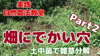 ＜実践自然農法教室＞　畑に大きな穴 Part２　土中菌で雑草分解