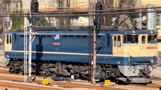 【EF65-2083  単機回送】国鉄EF65形2000番台2083号機が単機で鶴見駅に到着停車するシーン（単2491レ・新A21・単機回送）2025.1.22