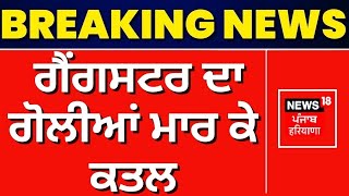 Breaking News | ਗੈਂਗਸਟਰ ਦਾ ਗੋਲੀਆਂ ਮਾਰ ਕੇ ਕਤਲ | Gangster Murder News | Bharatpur | News18 Punjab