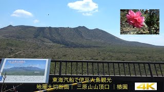 伊豆大島への日帰り観光には、竹芝から東海汽船を利用すると良いでしょう。【4K】@bellskybiz