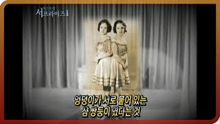 [다시보는 서프라이즈] “20세기 마지막 꽃” 이라 불렸던 샴 쌍둥이 힐튼 자매 MBC20110320방송