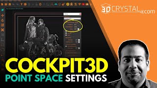 COCKPIT3D (2D to 3D): Point Space Settings for the Highest 3D Crystal Quality