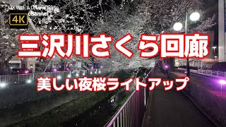 4K【#三沢川さくら回廊】【美しい夜桜ライトアップ】目黒川の桜よりゆっくりみれる【第14回 三沢川 桜・梨の花まつり】【三沢川沿い約320本の桜並木が約900m続く】【稲城市役所】東京都稲城市