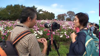 2012年石井孝親先生の昭和記念公園ゼミ