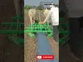 ప్లాంట్ కవర్ మిషన్ ytshortsvideo farmer plants@komerisettysivaiah0