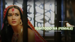 Tum Todo Na [Female] (Slowed+Reverb) - Bela Shendey | Ash King
