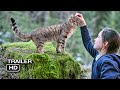 A CAT'S LIFE  Official Trailer (2024) Adventure, Family Movie