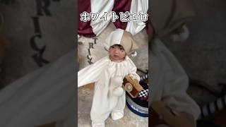 【家族の日常】3人で素敵なハロウィンブースで撮影会にきたよ👨‍👩‍👧🎃#ショート動画 #ショーツ #shorts #家族 #日常 #vlog #赤ちゃんのいる生活 #成長記録 #ハロウィン