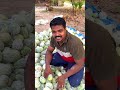 1000kg നെയ് കുമ്പളം