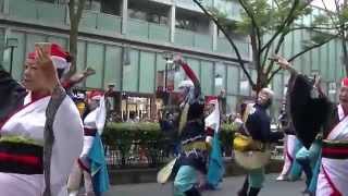 原宿スーパーよさこい2015／2日目／ぞっこん町田‘98