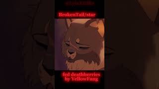 Warrior cat Deaths that shook me PT. 2 #warriorcats #sad #warriors #death