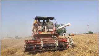 Wheat harvesting!! ਅੱਜ ਵੱਢੀ ਕਣਕ 🌾