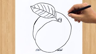 How to Draw Apricot Fruit Easy Drawing Step by Step