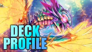 The CRAZIEST Levidras Deck Ever Made // Cardfight!! Vanguard