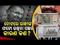 Special Report: Why Mahatma Gandhi's Portrait Printed On Indian Banknotes | Know The Details