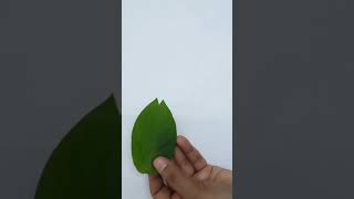 Leaf Activity for kids || Leaf Craft #shortvideo #leafactivity #Shorts #ytshorts