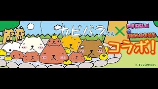 【パズドラ】＃40　初心者、ネタパ大歓迎！　3YY闘技場　1/28