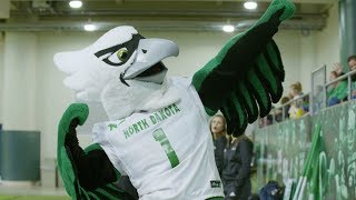 UND Fighting Hawk Mascot