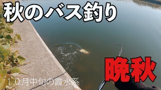 秋の霞水系１０月中旬のバス釣り　横利根川陸っぱり