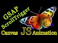 Canvas Animation Javascript. Scroll, scrolling [GSAP ScrollTrigger]
