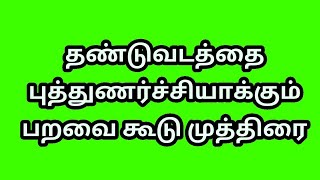 Birds Huts Mudras for healing in Tamil. தண்டுவடம் வலி நீங்க பறவை கூடு முத்திரை.