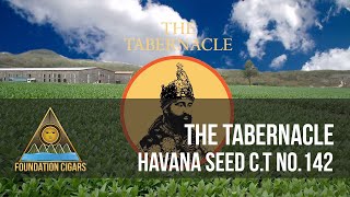 THE TABERNACLE HAVANA SEED CT #142 PROMO