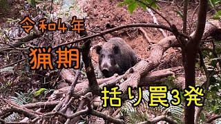 令和4年 猟期 【括り罠ロングver.】イノシシ 捕獲 boar trap