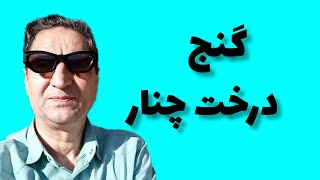 گنج درخت چنار دفینه درخت چنار زیرخاکی درخت چنار رضاابراهیمی#gold