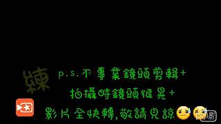 錦和高中106學年度童軍課避難小屋303第一組