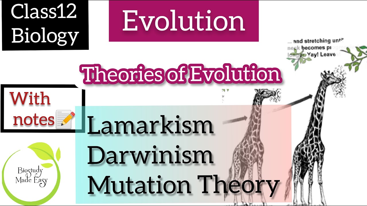 Class12 Theories Of Evolution- Lamarkism Darwinism|kannada |NEET ...