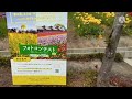 カピバラ capybara 岡山県ドイツの森