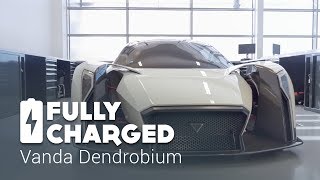 Vanda Dendrobium | Fully Charged