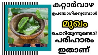 കറ്റാർവാഴ ഈ രീതിയിൽ ഉപയോഗിച്ചാൽ ഇനി മുഖം ചൊറിയില്ല ||Aloevera uses for radiant glowing skin