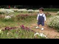 1才4ヶ月 カモミール畑 2012.5.20