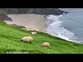 Dingle Peninsula, Ireland: Great Blasket Island - Rick Steves’ Europe Travel Guide - Travel Bite