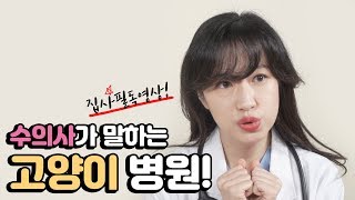 당신의 고양이는 병원을 좋아하나요? / 고양이 병원 데려가는 법 (병원이랑 친해지기) / 고양이 병원가다 2