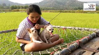 หมาน้อย Touring เที่ยวสะพานทุ่งนาน้อย จ.นครนายก