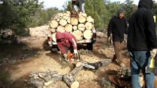 Wood Hauling on the  Mountain 3