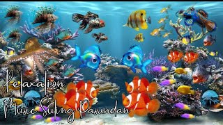 8k video ultra hd sea 2020 | The Fish Video - Music Suling Pasundan Relaxation