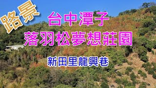 【帶你去】台中潭子新田龍興巷落羽松森林