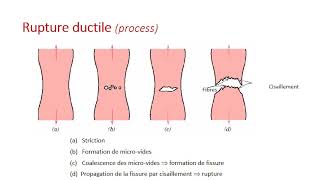 Cours BM1-1 Chapitre 3