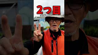 家庭菜園や農園の夏野菜栽培が緊急事態！ゲリラ豪雨が降った後の畑の管理を徹底解説！#shorts 【農園ライフ】