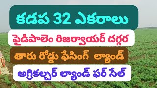 కడప 32 ఎకరాలు అగ్రికల్చర్ ల్యాండ్ ఫర్ సేల్ please subscribe 🙏 8897702061