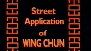 Wing Chun Vs Street Fighter