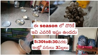 ఈ seasonలో దొరికే ఇవి ఎవరికి ఇష్టం ఉండదు ||5:30to 8:30వరకు ఇంట్లోపనులు 3పిల్లలు..