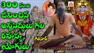 గిరినార్ పర్వత గుహలో రహస్య యోగి | A secret yogi in a mountain cave in Girinar