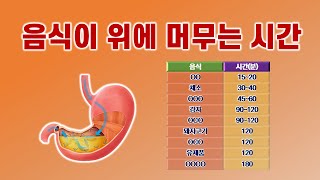 [음식이위에머무는시간] 올바른 식습관은 위에 머무는 시간이 짧은 음식부터 먹고 위에 머무는 시간이 긴 음식을 섞어 먹지 않는 것이다